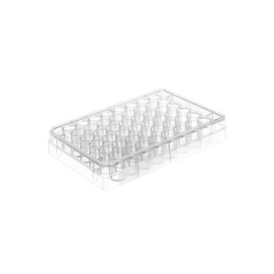 Cell Culture Plates With Treated Culture Surface And Plates 6 12 24 48 And 96 Wells With Flat Bottoms