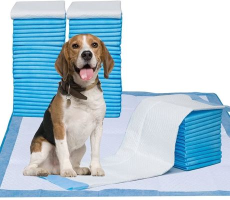 Pelatihan Popok Anak Anjing Tahan Air 45*50Cm Kencing Urine Hewan Peliharaan Sekali Pakai untuk Bantalan Anjing